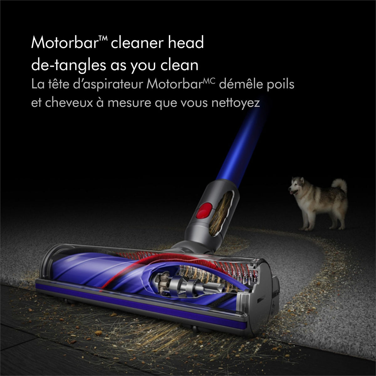 Dyson V11 Cordless Stick Vacuum Cleaner, Blue