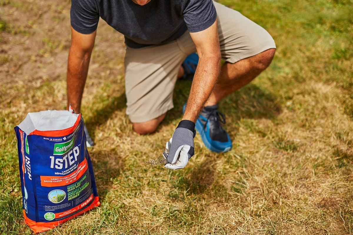 Golfgreen 1-Step Lawn Saver + Weed Defense 10-02-02 Grass Seed, 4-kg