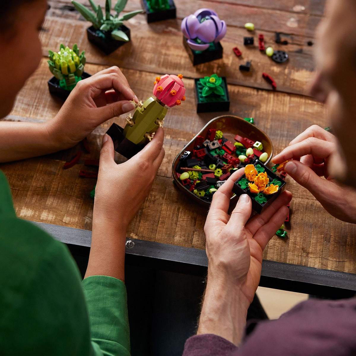 LEGO The Botanical Collection Succulents Building Set – 10309, 771-pcs, Ages 18+