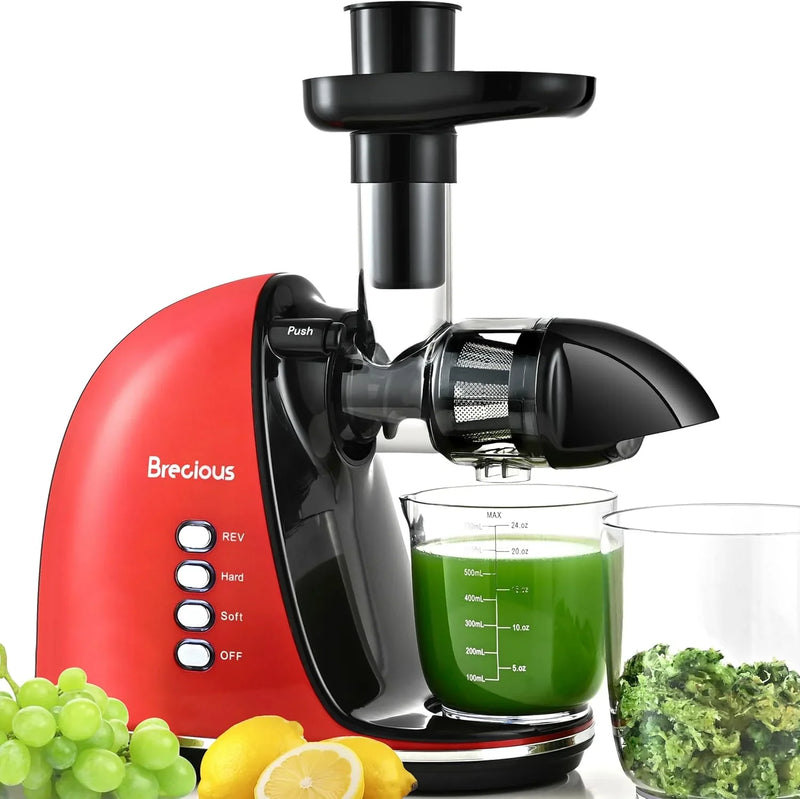 Slow Masticating Juicer,Brecious Cold Press Juicers with 2 Speed Modes & Quiet Motor,Juicers Machines Vegetable and Fruit with Reverse Function,Celery Juicer,BPA-Free,Easy to Clean (Black) J5