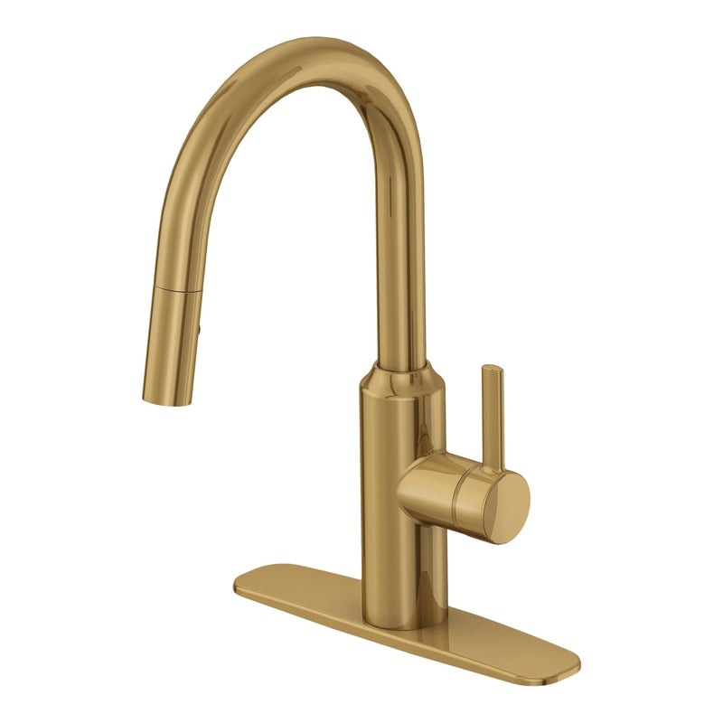 Danze Colby Single-Handle Pull-Down Kitchen Faucet, Brushed Bronze E5