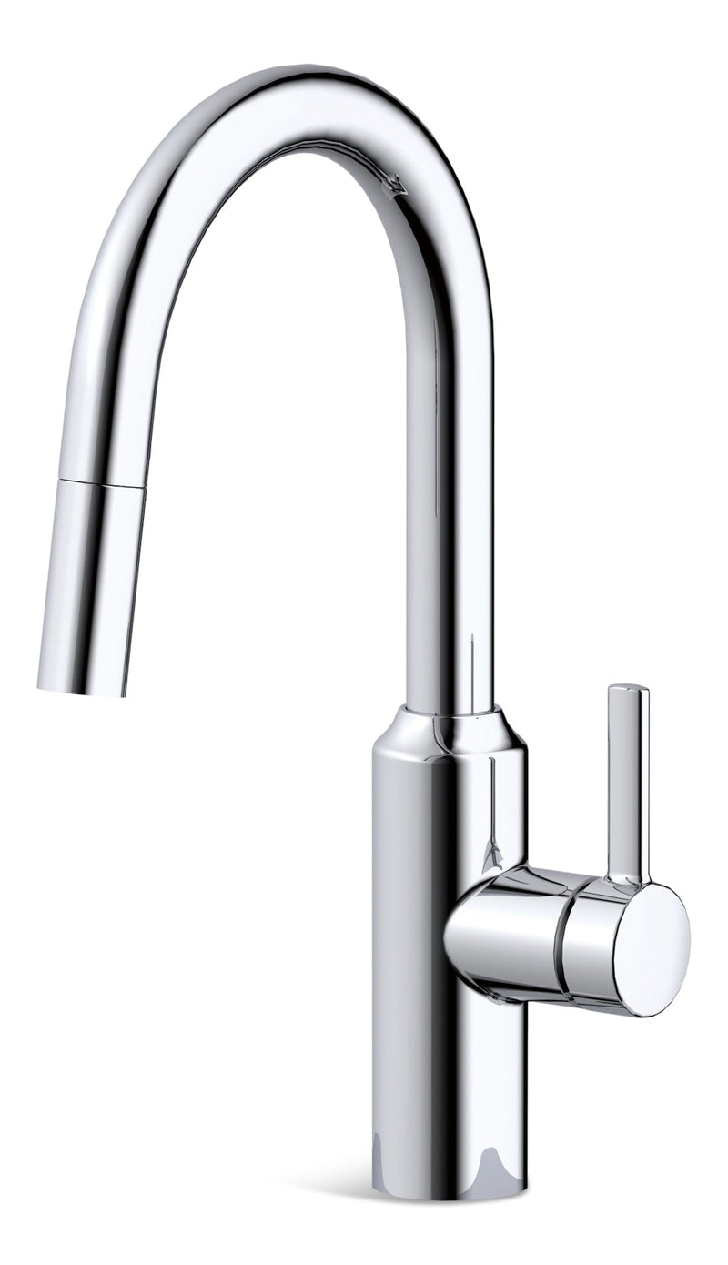 Danze Colby Single-Handle Pull-Down Kitchen Faucet, Chrome G5