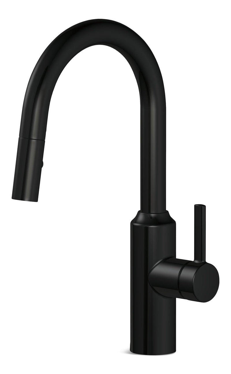 Danze Colby Single Handle Pull Down Kitchen Faucet, Matte Black D8