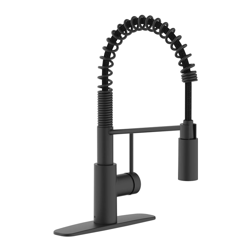 Danze Imi 1-Handle Pull-Down Commercial Style Kitchen Faucet M8