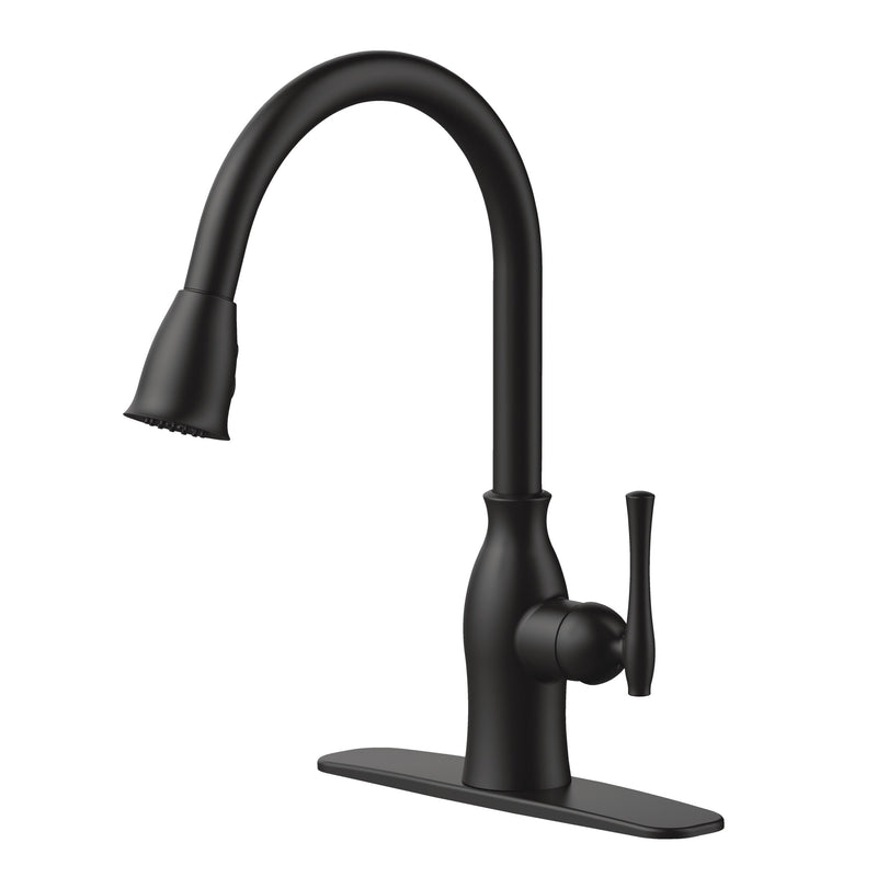 Danze Lisa 1-Handle Pull-Down Kitchen Faucet, Matte Black O2