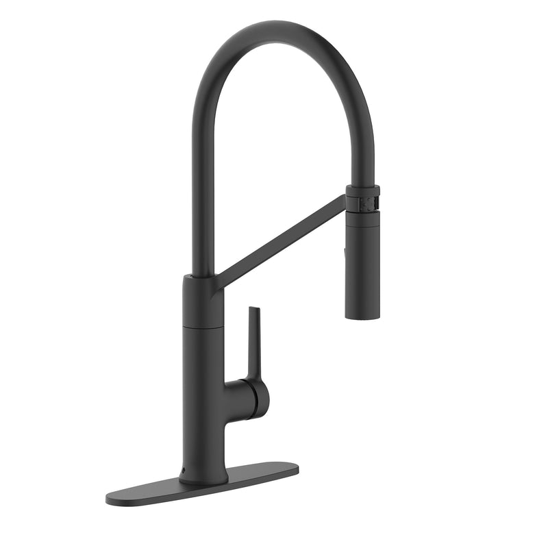 Danze Tana 1-Handle Pull-Down Kitchen Faucet M6