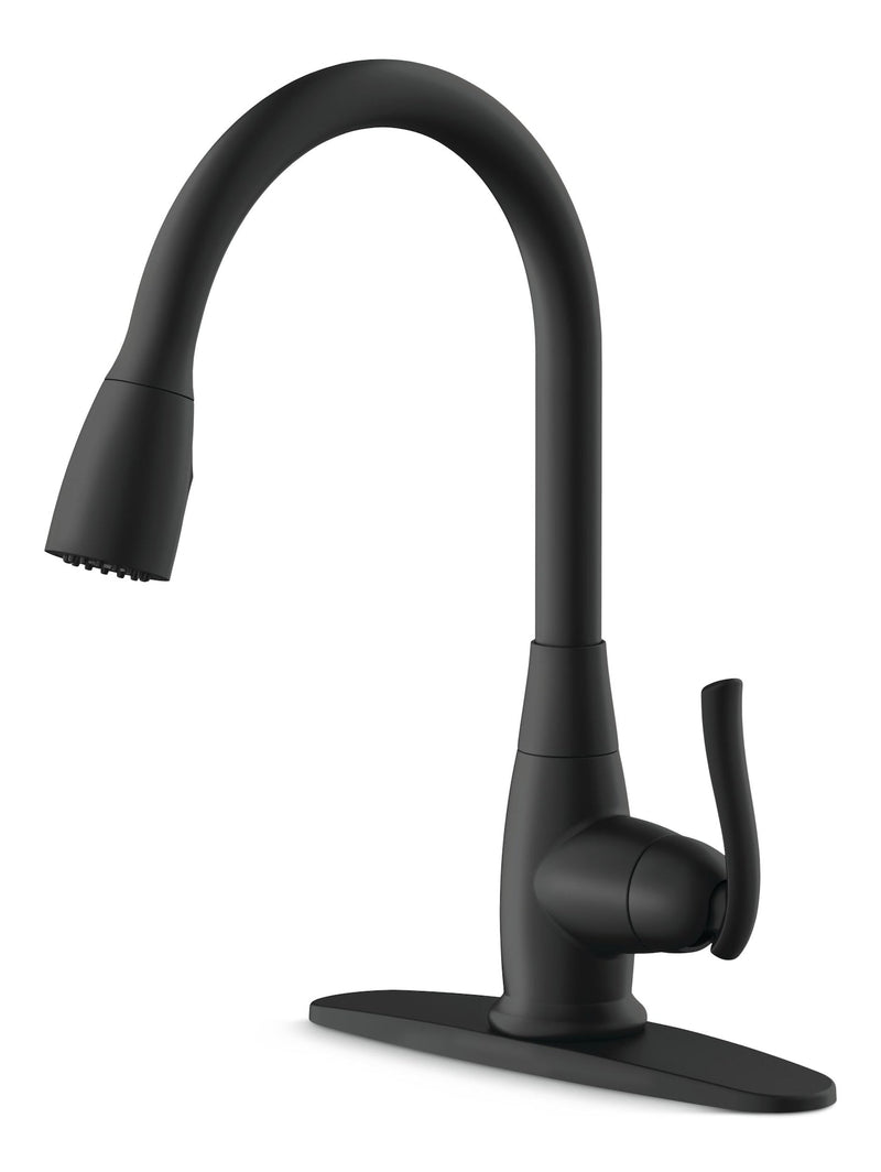 Danze Terrazo 1-Handle Pull Down Kitchen Faucet, Matte Black X0