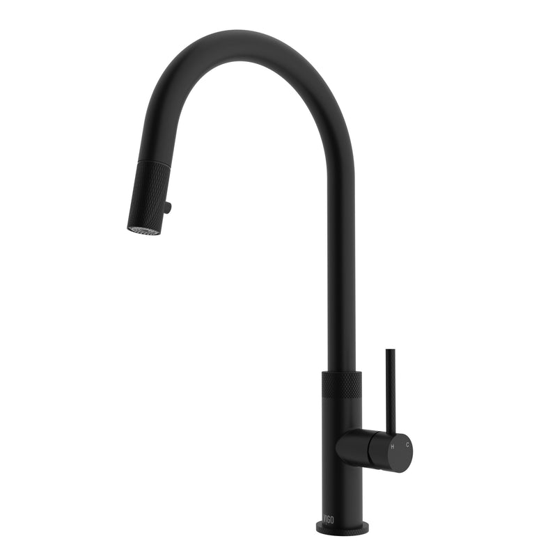 VIGO Bristol Kitchen Faucet Z3