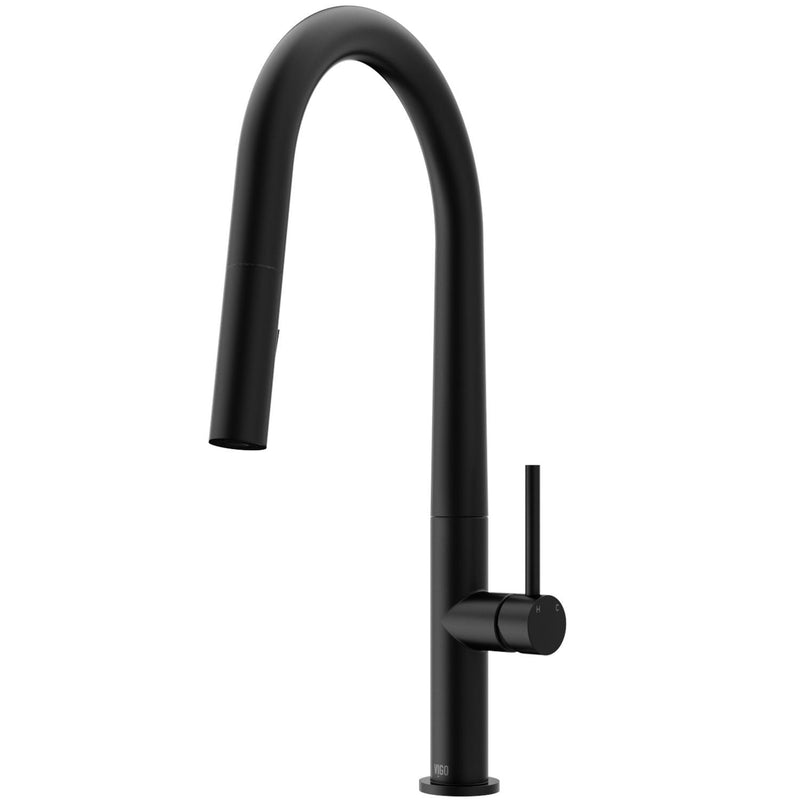 VIGO Greenwich Kitchen Faucet, Matte Black M8